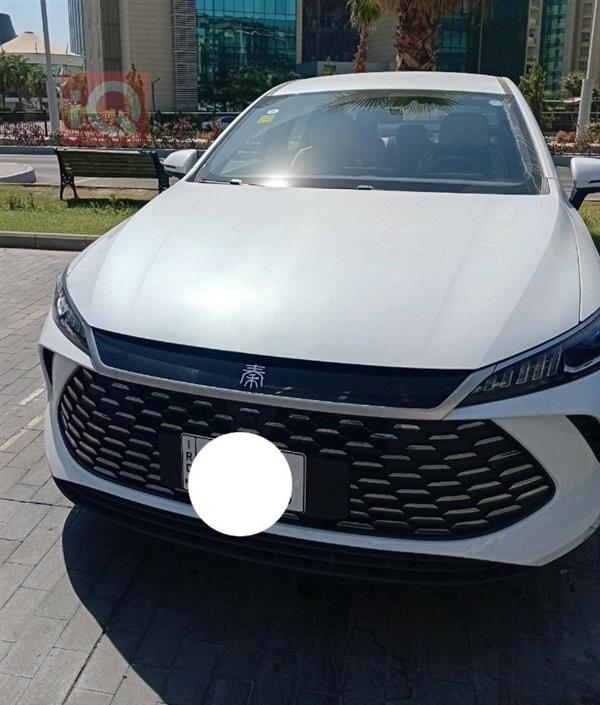 بي واي دي Qin Plus 2025 للبيع في العراق - اربيل
